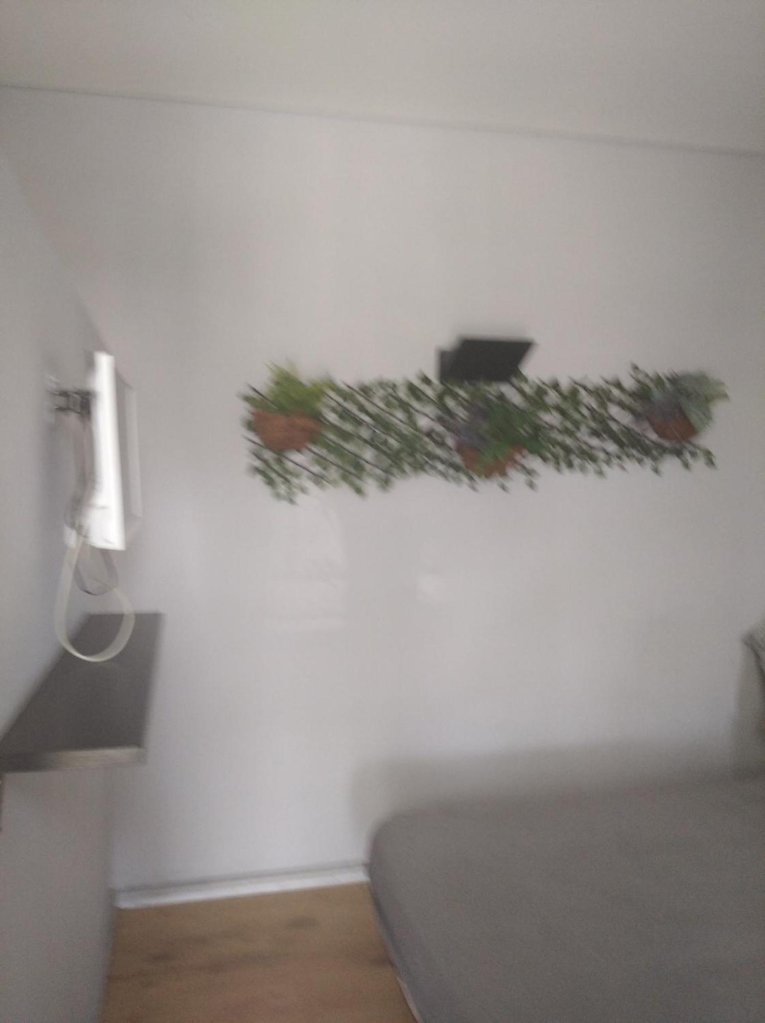 Porto Estudio Campanha 외부 사진